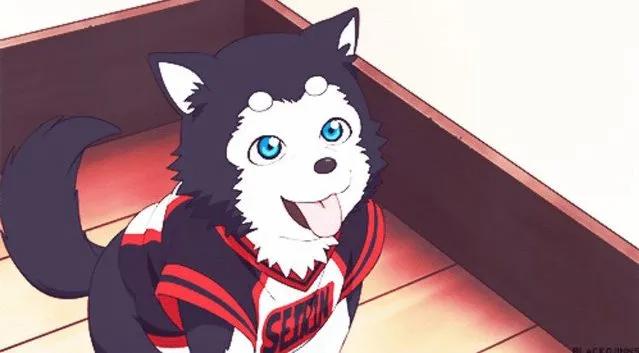 动漫向：新年旺旺旺！盘点动画中的狗