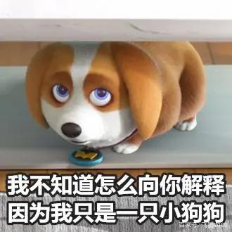 飞狗MOCO番外篇：重启2020我会做什么