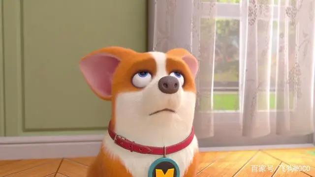 会哭的孩子有糖吃