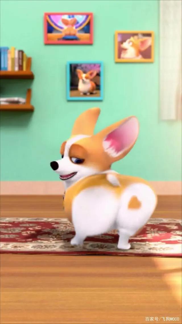 飞狗MOCO番外篇：我的夏天是鸡腿味的