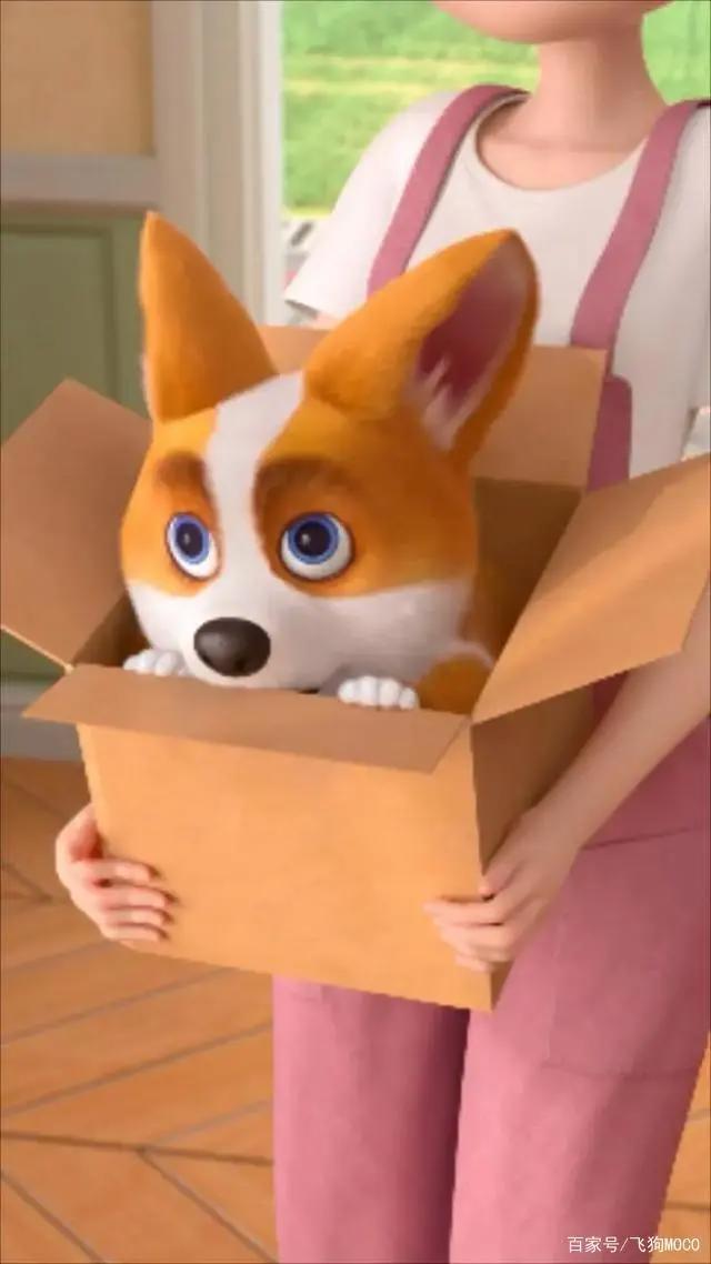 飞狗MOCO番外篇：我的夏天是鸡腿味的