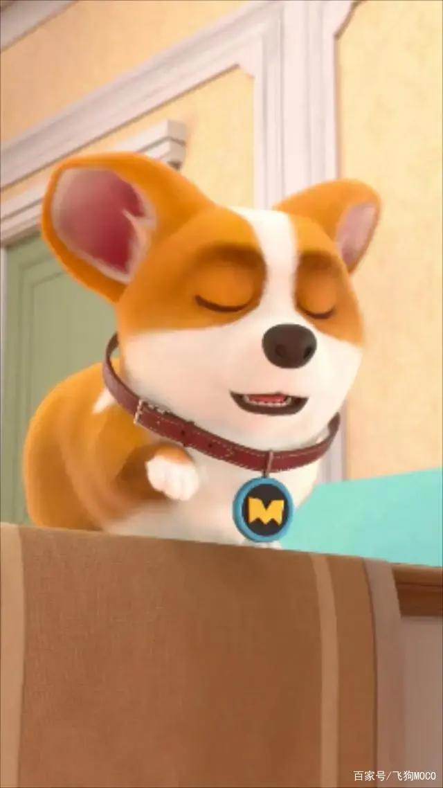 飞狗MOCO番外篇：我的夏天是鸡腿味的