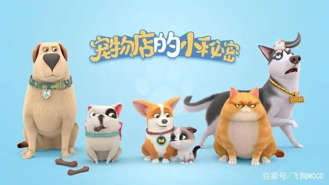 飞狗MOCO番外篇：我的夏天是鸡腿味的