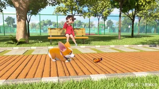 飞狗MOCO小知识：听说有人想养我？