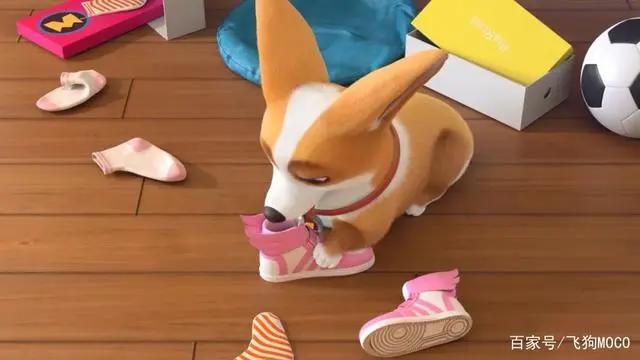 飞狗MOCO小知识：听说有人想养我？