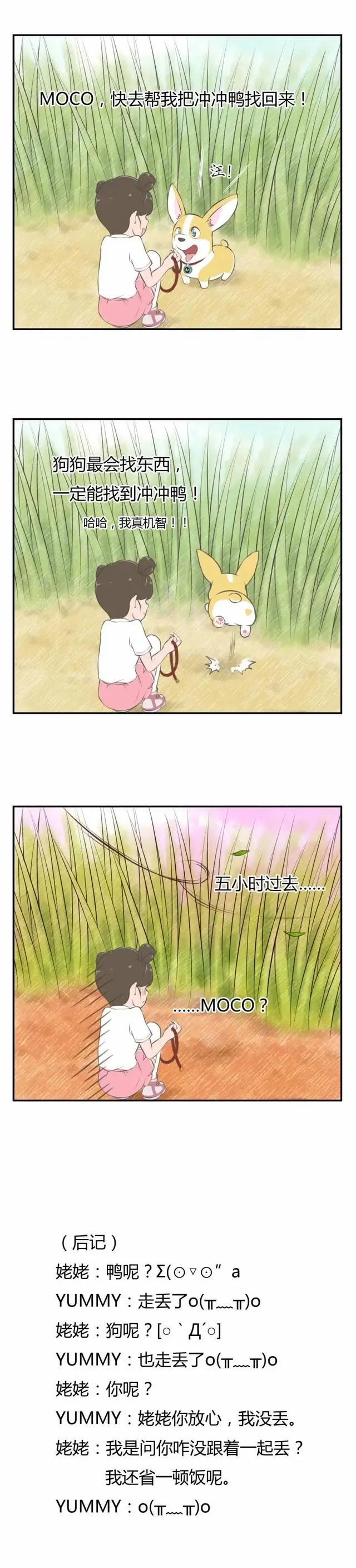飞狗MOCO漫画：你见过遛鸭的人吗？