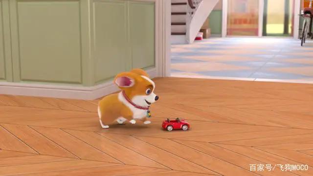 飞狗MOCO番外篇：别人家的孩子来啦！