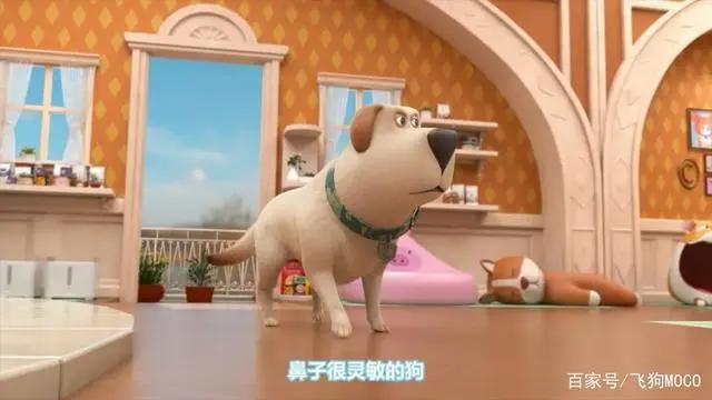 飞狗MOCO的小伙伴：人类的好朋友