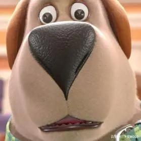 飞狗MOCO的小伙伴：人类的好朋友