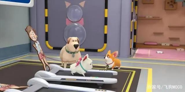 飞狗MOCO的小伙伴：人类的好朋友