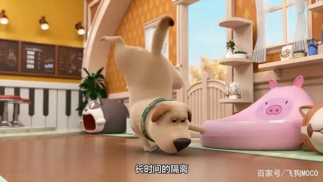 飞狗MOCO的小伙伴：人类的好朋友