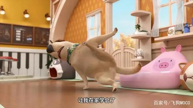 飞狗MOCO的小伙伴：人类的好朋友