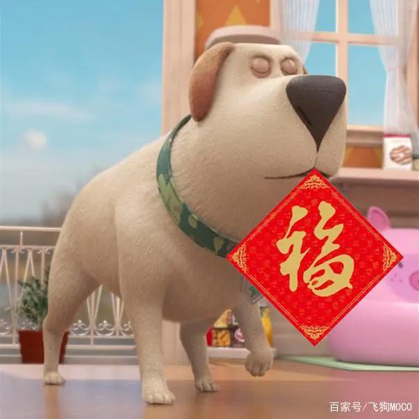 飞狗MOCO的小伙伴：人类的好朋友