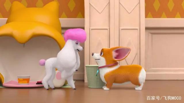 飞狗MOCO番外篇：我不会爱上一只猫咪，但我会喜欢一只狗