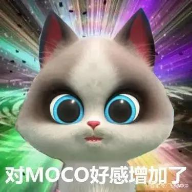 飞狗MOCO的小伙伴：吸……