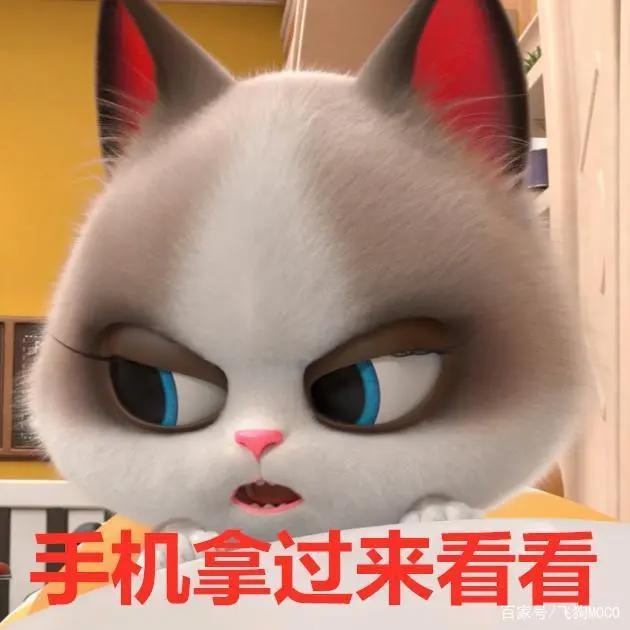飞狗MOCO的小伙伴：吸……