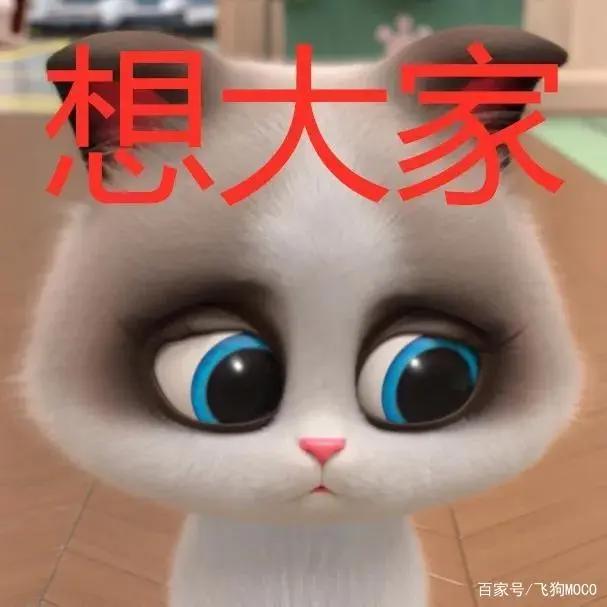 飞狗MOCO的小伙伴：吸……