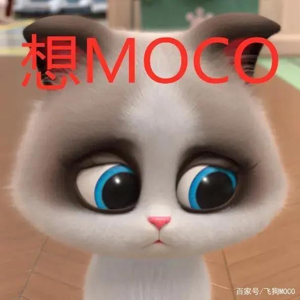 飞狗MOCO的小伙伴：吸……