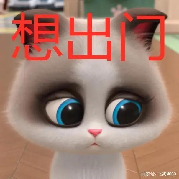 飞狗MOCO的小伙伴：吸……