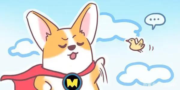 飞狗MOCO五十问：你想知道的东西都在这里