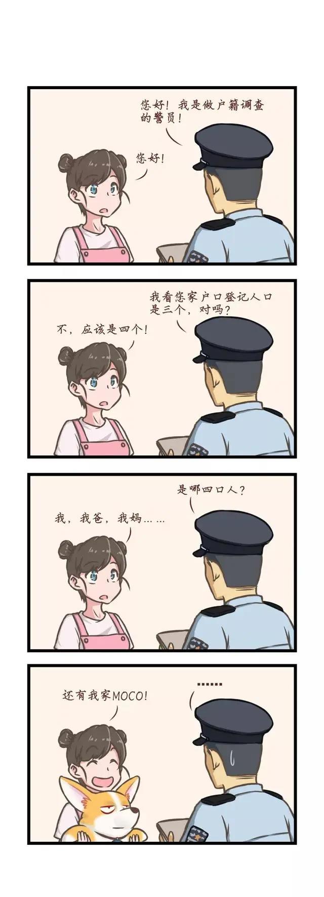 飞狗MOCO漫画：一份来自铲屎官的认同