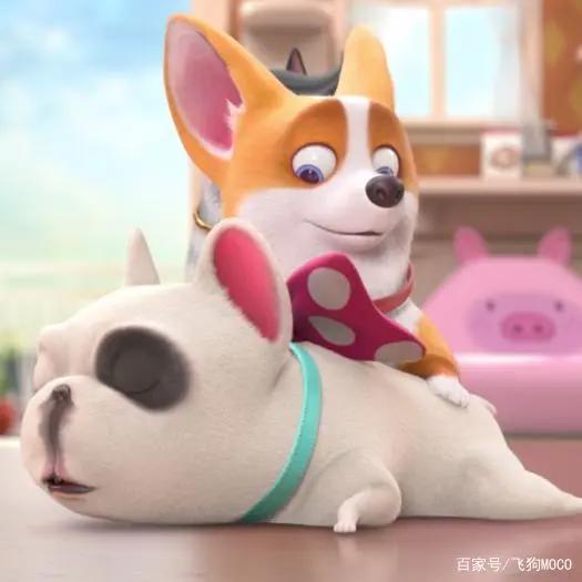 飞狗MOCO的小伙伴：这里有狗！