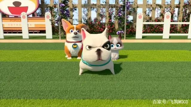 飞狗MOCO的小伙伴：这里有狗！