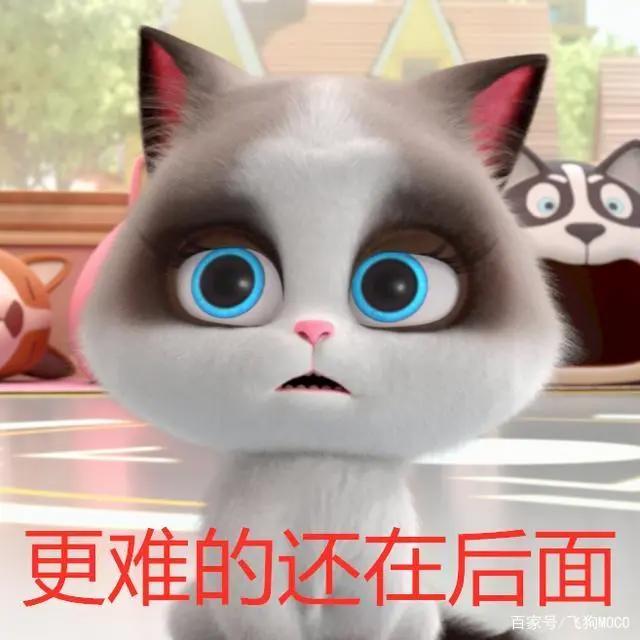 飞狗MOCO的小伙伴：这里有狗！