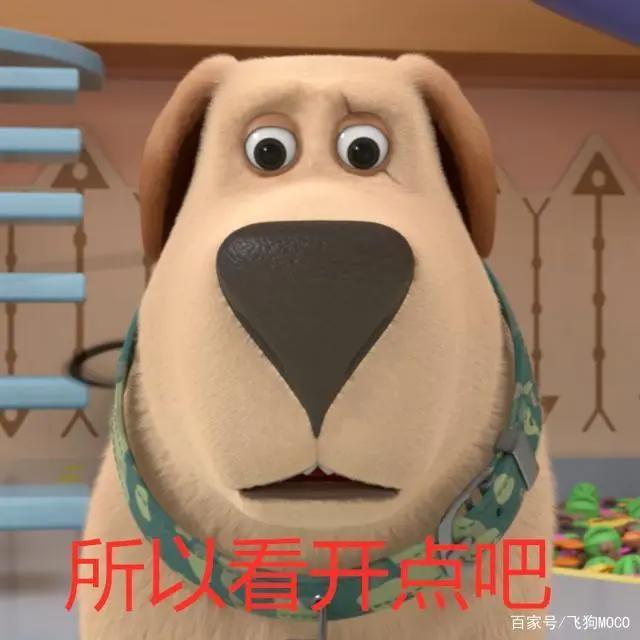 飞狗MOCO的小伙伴：这里有狗！