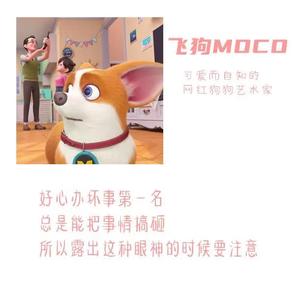 三句话读懂飞狗MOCO