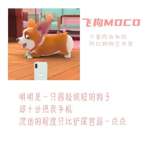 三句话读懂飞狗MOCO