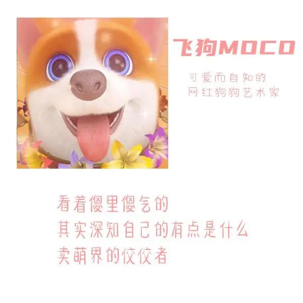 三句话读懂飞狗MOCO