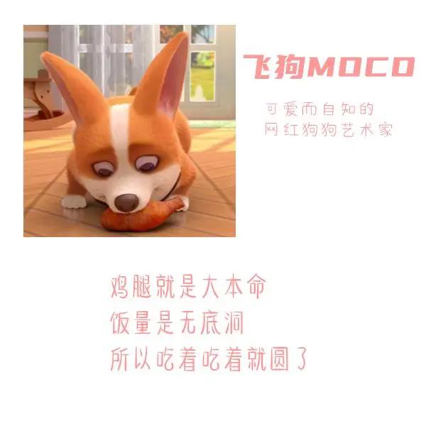 三句话读懂飞狗MOCO