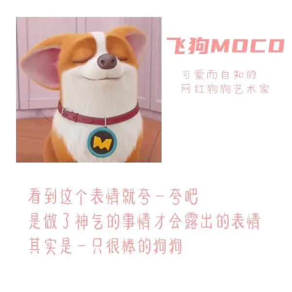 三句话读懂飞狗MOCO