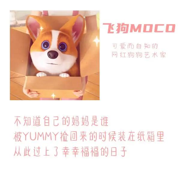 三句话读懂飞狗MOCO