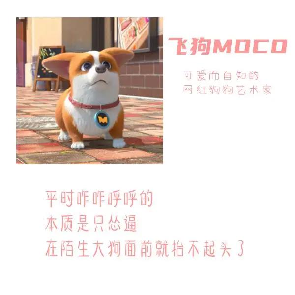 三句话读懂飞狗MOCO