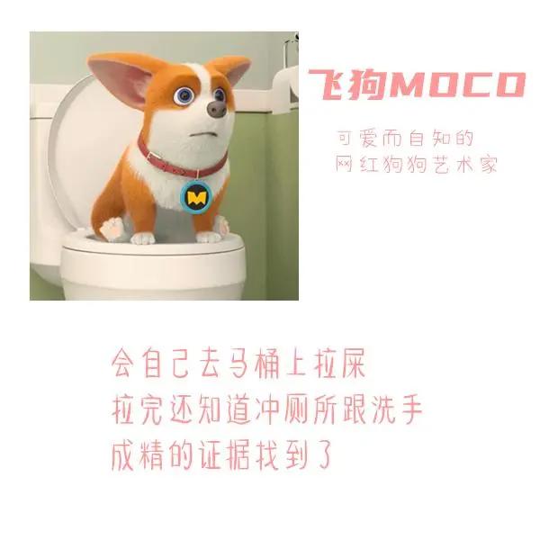 三句话读懂飞狗MOCO