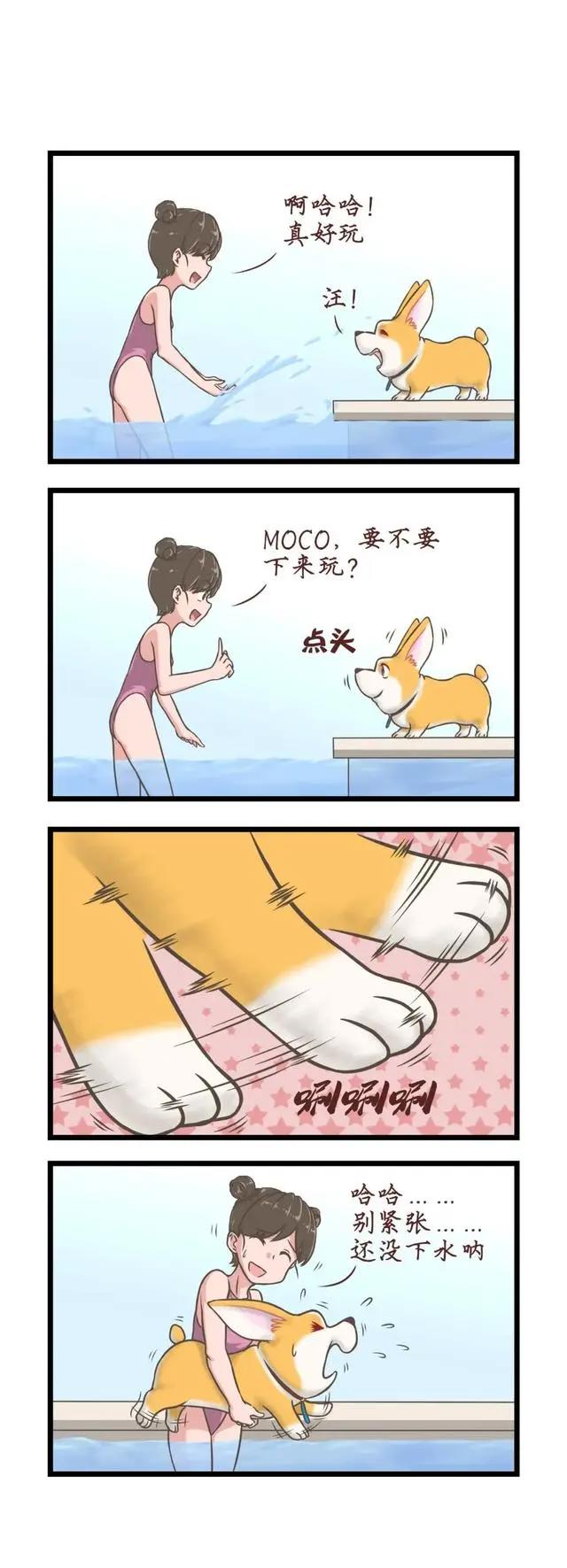 飞狗MOCO漫画：戏弄我是铲屎官的快乐来源