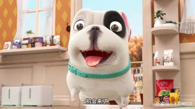 飞狗MOCO番外篇：宠物店三傻受难记