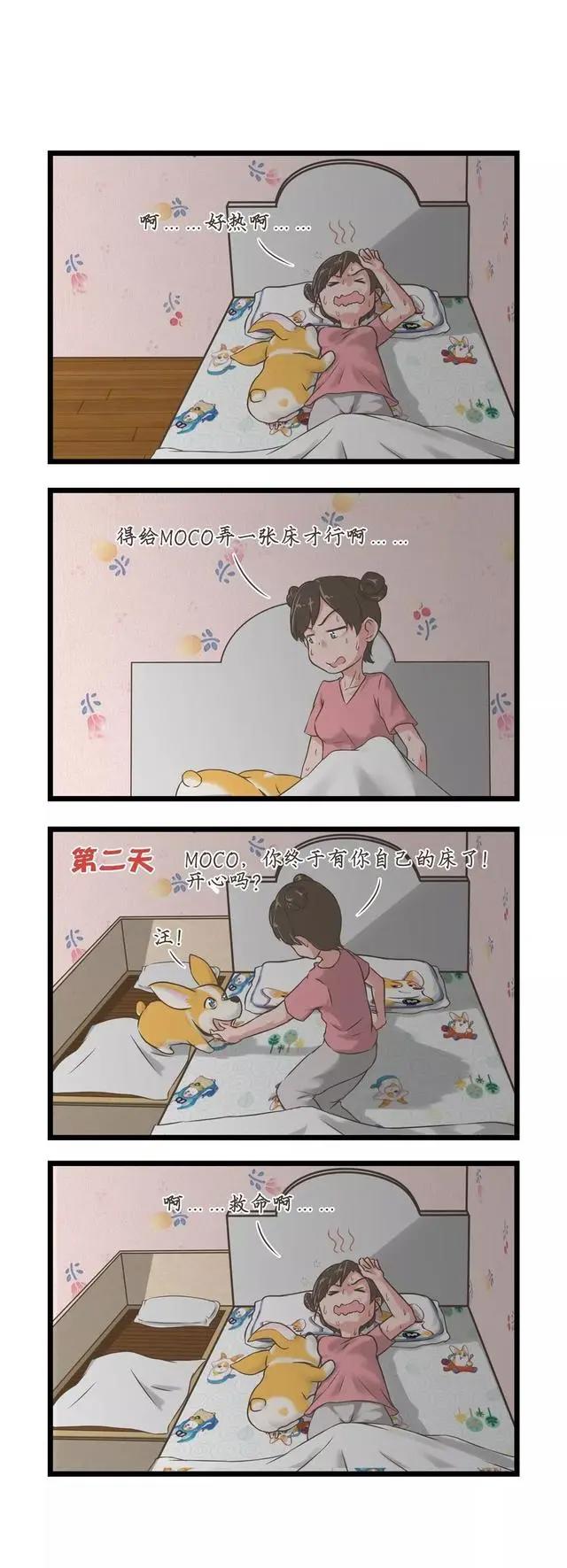 飞狗MOCO漫画：我要跟你一起睡