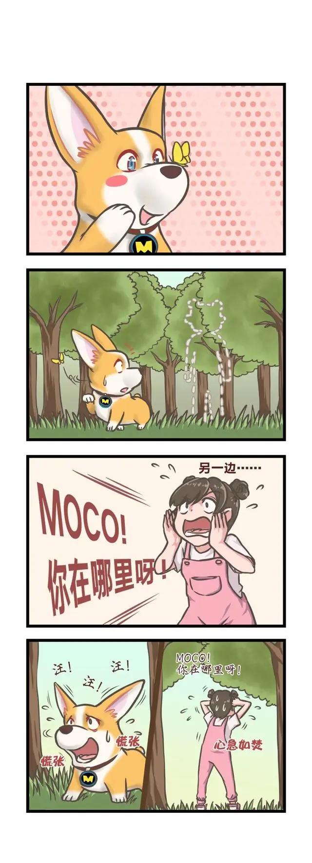 飞狗MOCO漫画：意外总是说来就来