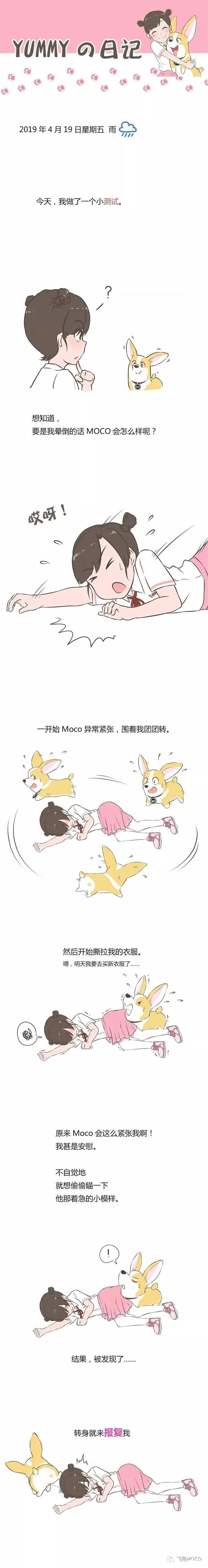 飞狗MOCO漫画：我从来不担心他会离开我