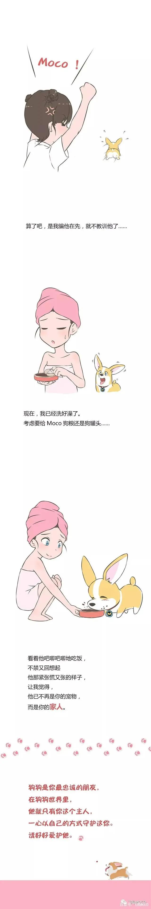 飞狗MOCO漫画：我从来不担心他会离开我