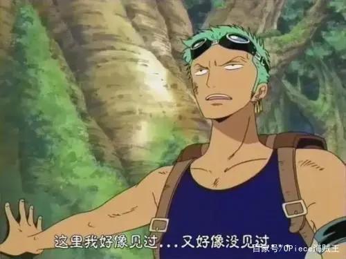 让人捧腹的海贼王梗！黄猿兼职幼儿园园长，索隆开启大迷航时代