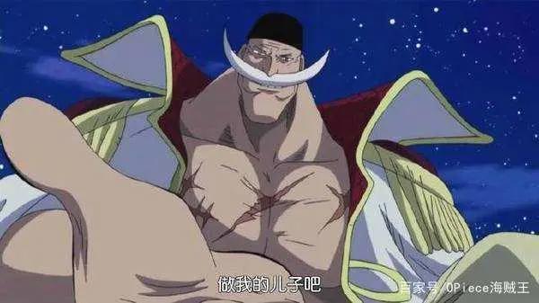 让人捧腹的海贼王梗！黄猿兼职幼儿园园长，索隆开启大迷航时代