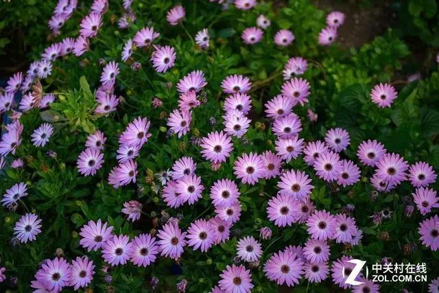 夜神传奇佳能RF50mmF1.2镜头的前世今生