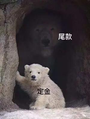 双11的伶仃《末世觉醒之入侵》细胞解析