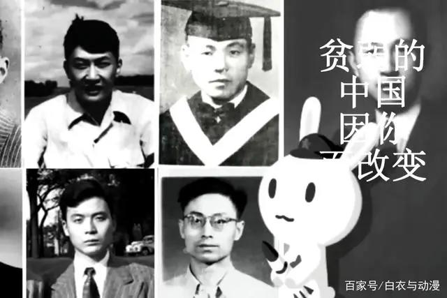 《那年那兔那些事》，种花家之崛起，一路走来的艰辛，终将会崛起