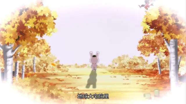 那年那兔那些事儿：这个历史，讲得有点不一样