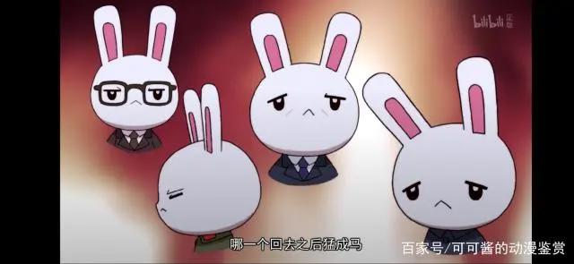 《那兔》在我们背后默默付出的是这些兔子，大家知道他们的名字吗